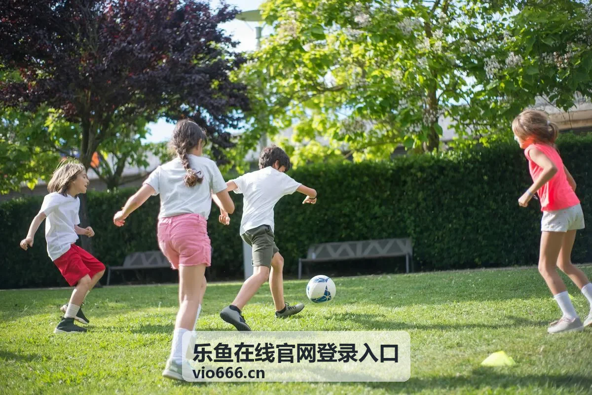 乐鱼在线官网登录入口背景图