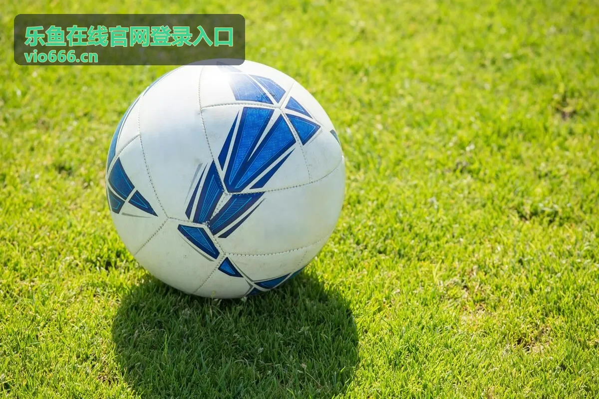 乐鱼平台版本更新封面图