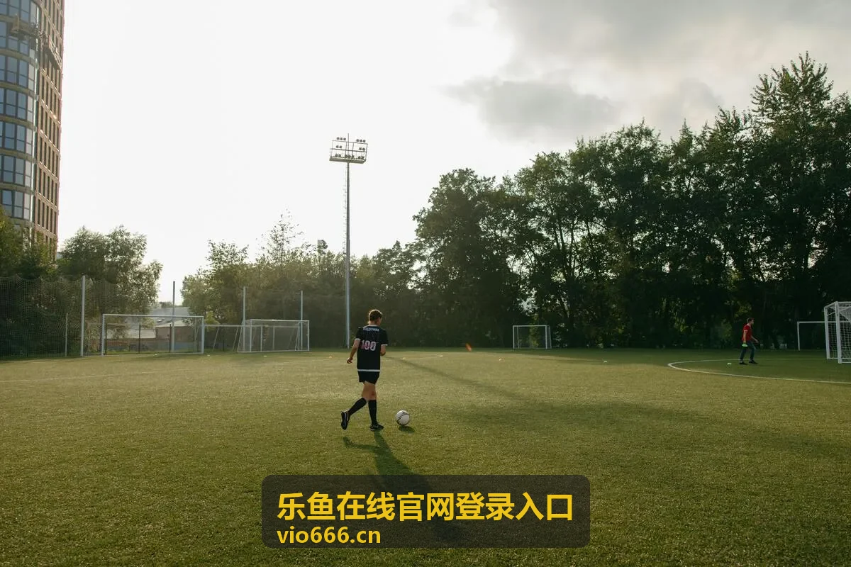 乐鱼在线访问问题整理封面图